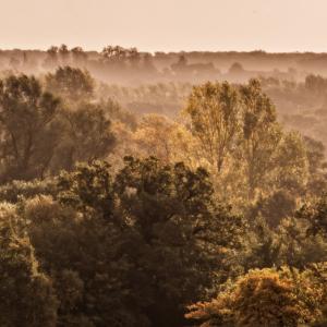 Stowlangtoft church from Pakenham windmill Nigel 15